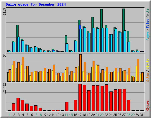 Daily usage for December 2024