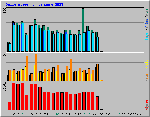 Daily usage for January 2025