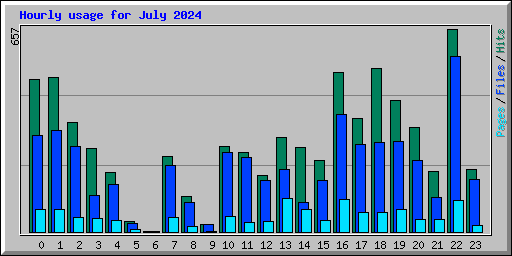 Hourly usage for July 2024