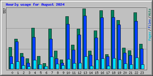 Hourly usage for August 2024