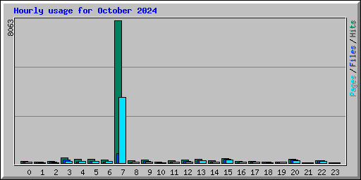 Hourly usage for October 2024