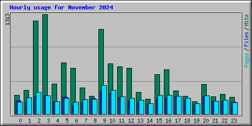 Hourly usage for November 2024