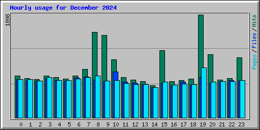 Hourly usage for December 2024