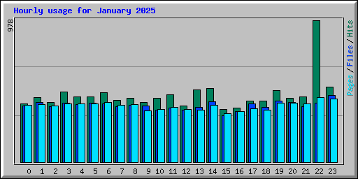 Hourly usage for January 2025